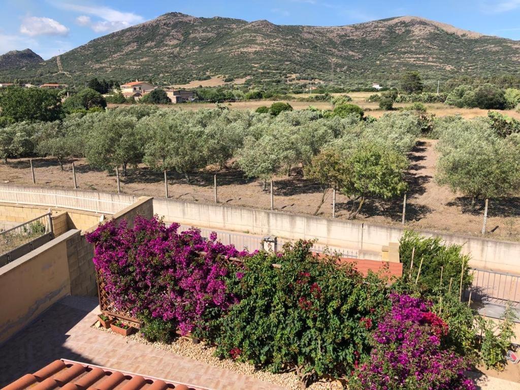 B&B Il Mirto Bianco San Giovanni Suergiu Ngoại thất bức ảnh